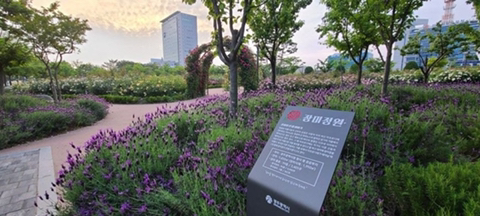 광주광역시 시청이 이 모양으로 지어진 이유 | 인스티즈