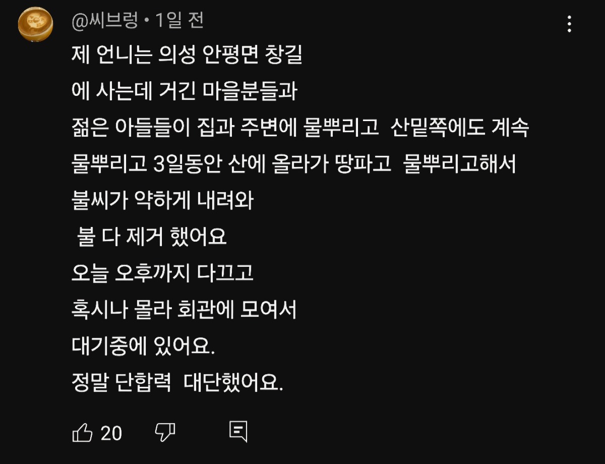 유투브 댓글에서 발견한 이번 산불에서 살아남은 의성 안평면 창길리 이야기 | 인스티즈