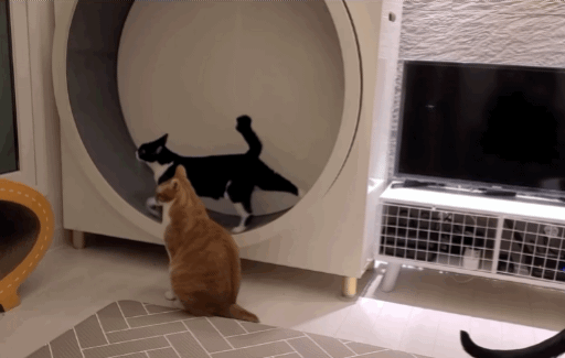 자기 아들 주려고 남의 딸 노는 거 뺏는 엄마;; | 인스티즈