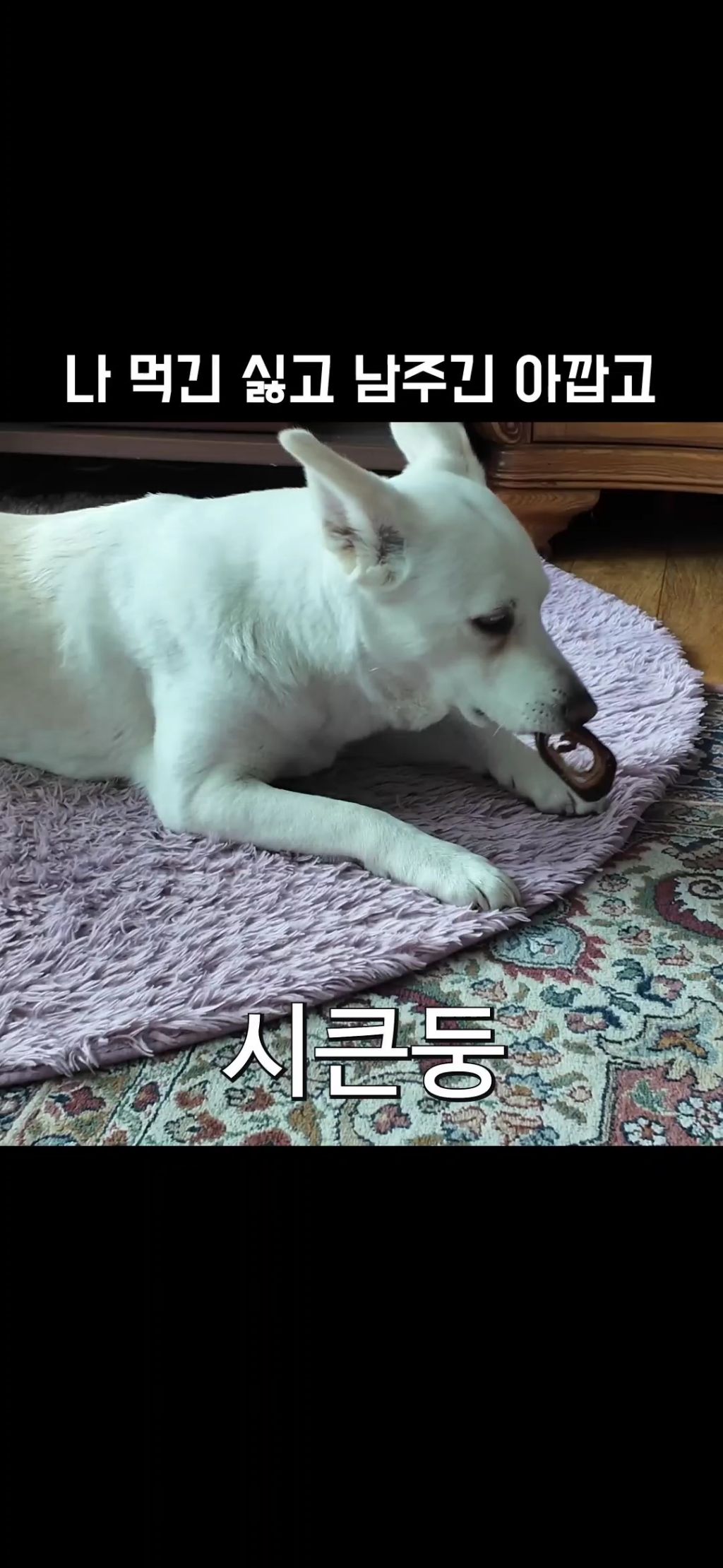 22만 유튜버 강복순 인성논란 | 인스티즈