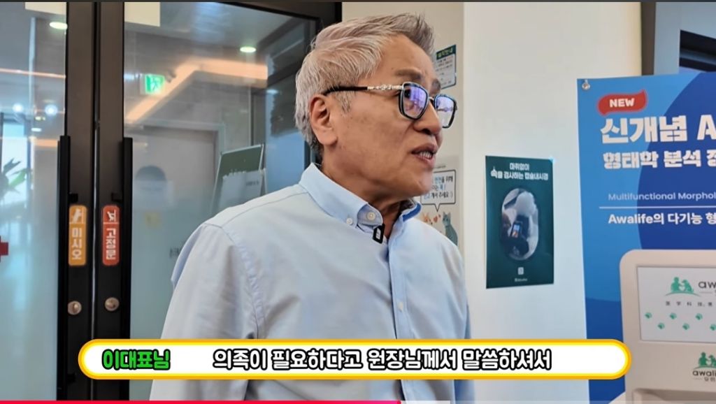 산불로 한쪽다리를 잃은 고양이가 받은 선물 🎁 | 인스티즈