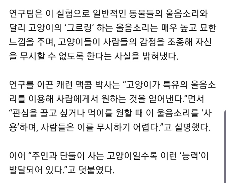 "고양이, 울음소리로 사람 조종한다” | 인스티즈