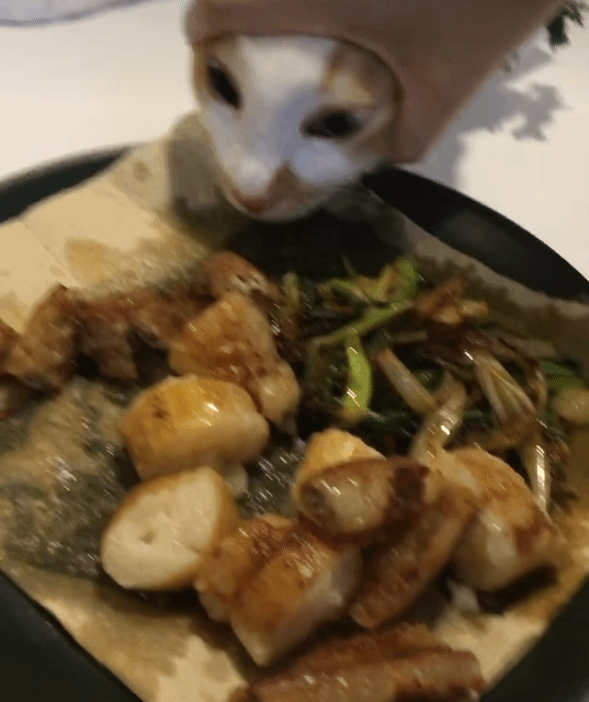 한우곱창이 너무 먹고싶었던 고양이.gif | 인스티즈