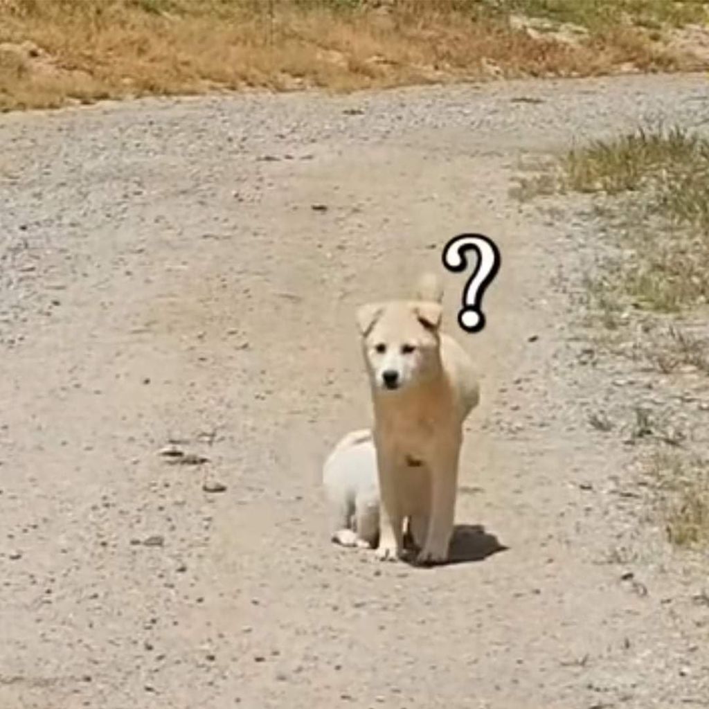 시고르자브종 유튜브 보다가 오열중.jpg | 인스티즈