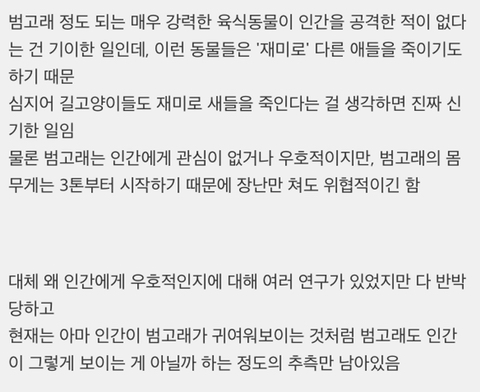 지구상에서 유일하게 인간을 공격한 사례가 없는 강한 육식동물 | 인스티즈