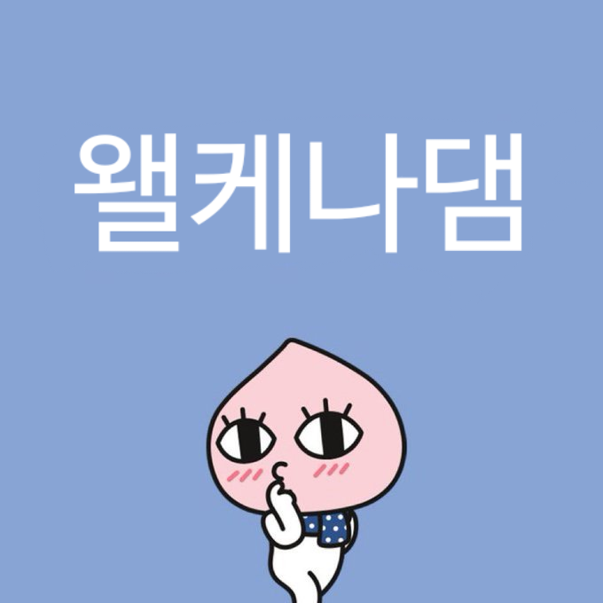 걍 2024년 밈 결산 그 자체인 탄핵 시위 피켓들 상태.twt | 인스티즈