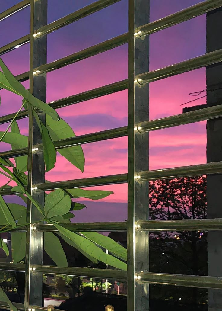 초저녁 걸어가다 넋놓고 올려다보게 되는 날 | 인스티즈