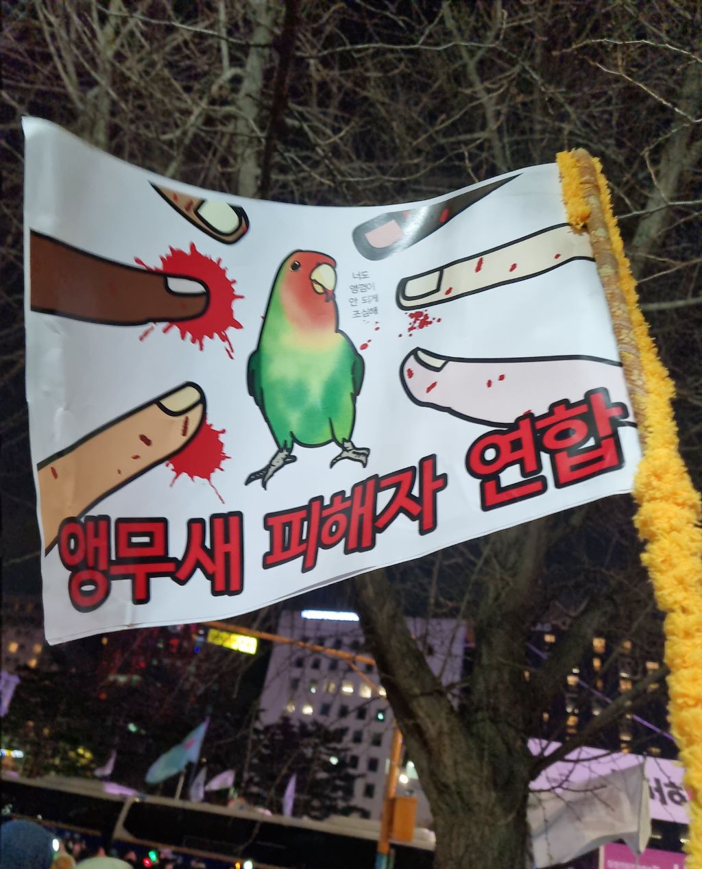 탄핵 시위= 대짱잼 깃발 대회 | 인스티즈