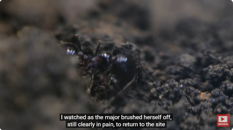 거대한 수조에 열대우림 환경을 조성해놓으면 생기는 일 | 인스티즈