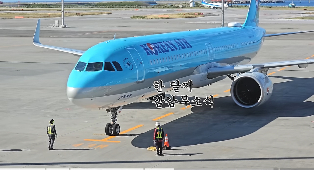 또더남 대한항공 결항대란 후 후속 | 인스티즈