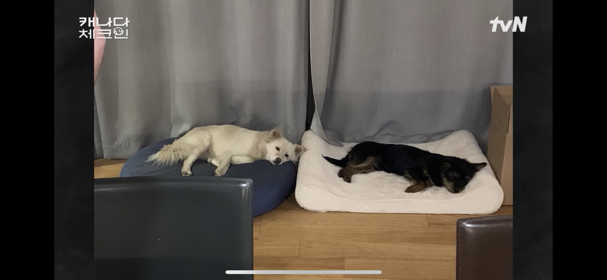 초조하게 누군가를 기다리는 이효리 | 인스티즈