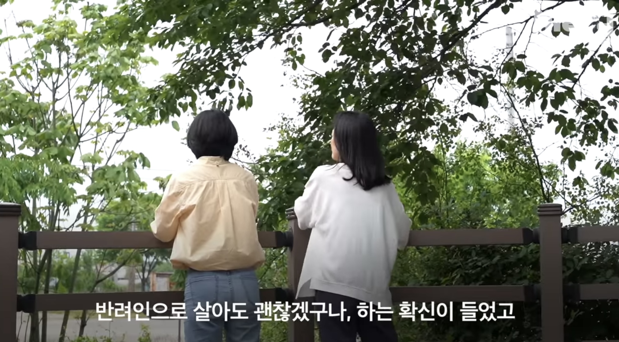 친구를 입양했습니다 | 인스티즈