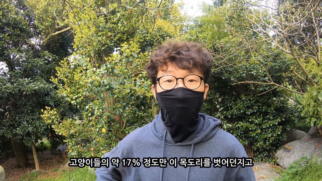 고양이가 자연생태계에 끼치는 심각한 영향(새 사체사진있음) | 인스티즈