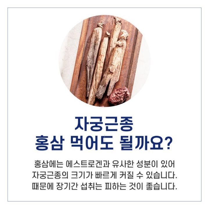 홍삼, 밀크시슬은 자궁근종을 무럭무럭 자라게 한다 | 인스티즈
