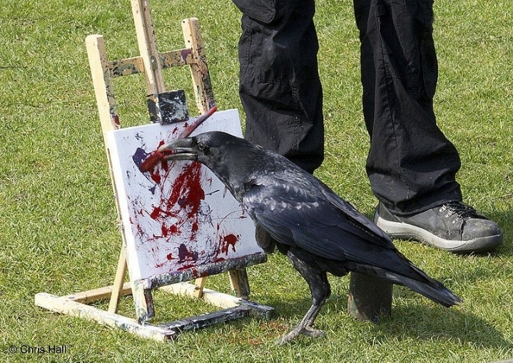 이 검은고양이 이상하게 생겼는데? | 인스티즈