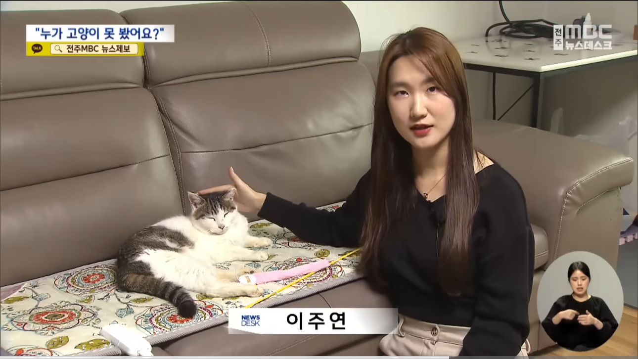 '눈먼 길고양이' 구조작전.. 훈훈한 쪽지 릴레이 | 인스티즈