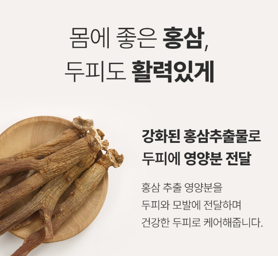 진생 이미지