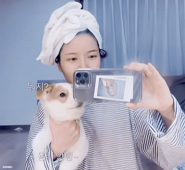 펫샵 NO! 유기견 입양한 연예인들 | 인스티즈