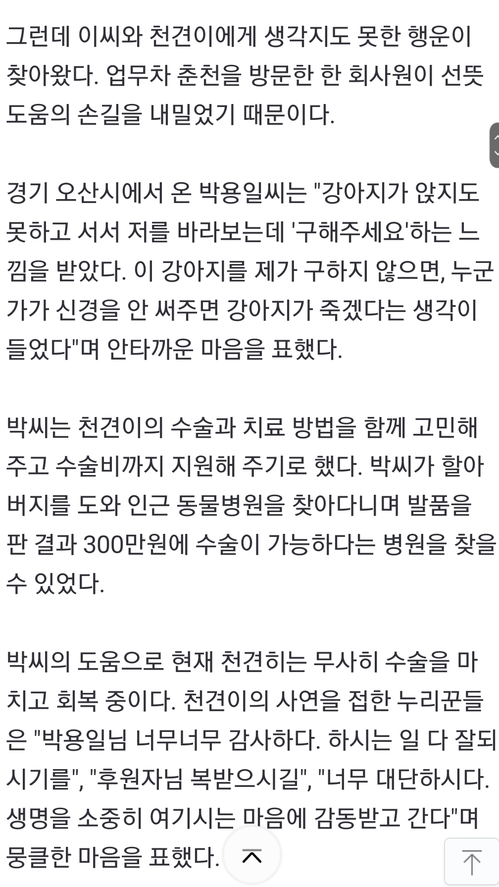 홀몸노인 반려견, 수술비 없어 죽음 기다리다…'우연한 만남' 회사원이 쾌척 | 인스티즈