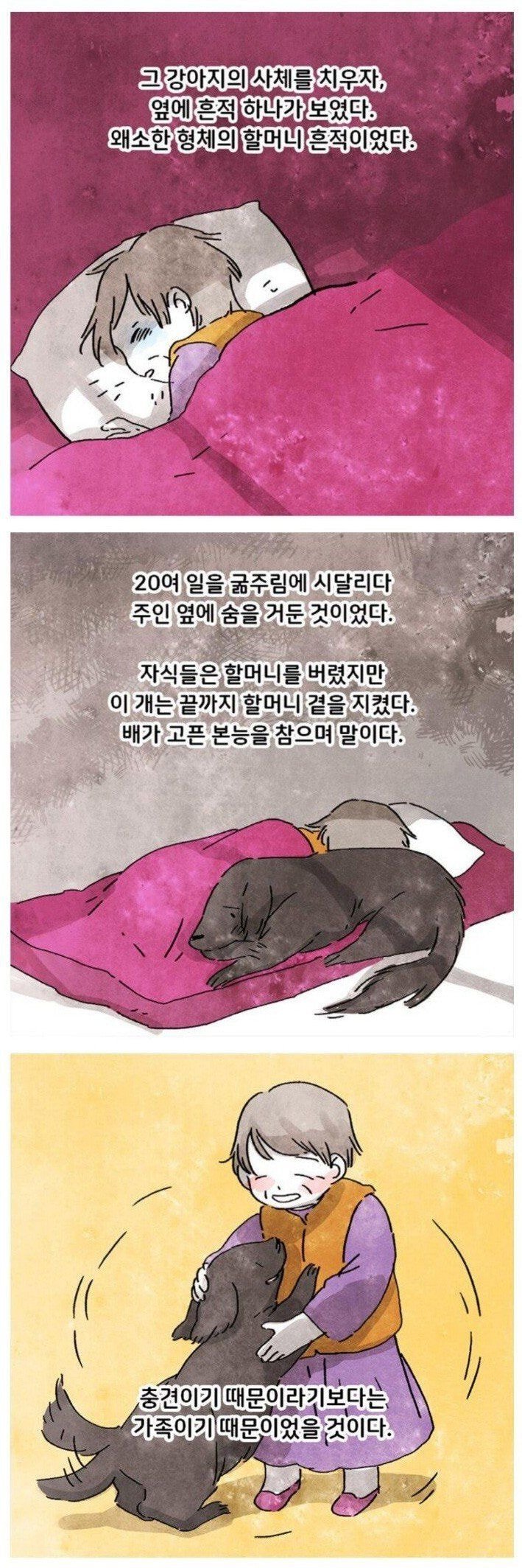 고독사 현장을 청소하는데 강아지가.toon | 인스티즈