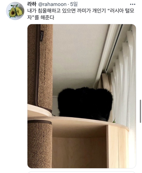 내가 침울해 하고 있으면 -가 -해준다 .twt | 인스티즈