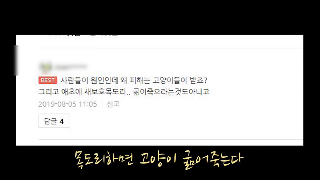 고양이가 자연생태계에 끼치는 심각한 영향(새 사체사진있음) | 인스티즈