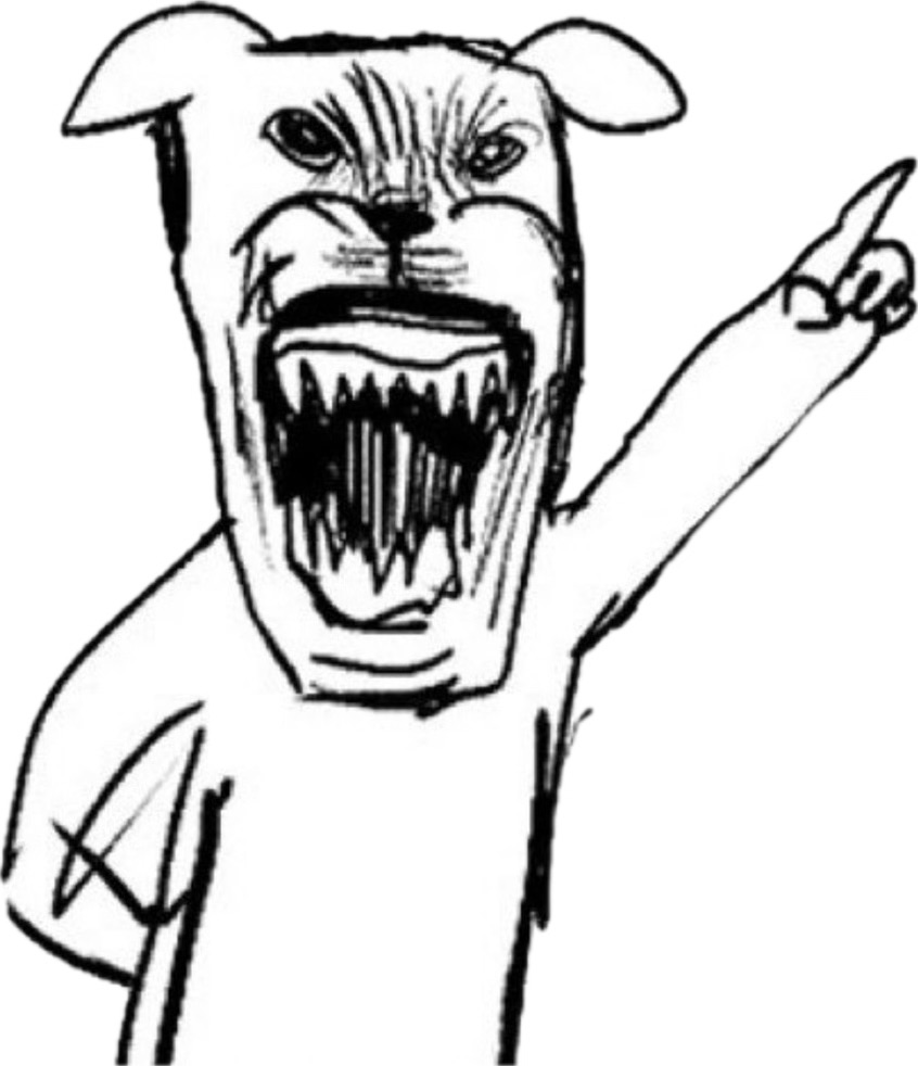 걍 2024년 밈 결산 그 자체인 탄핵 시위 피켓들 상태.twt | 인스티즈