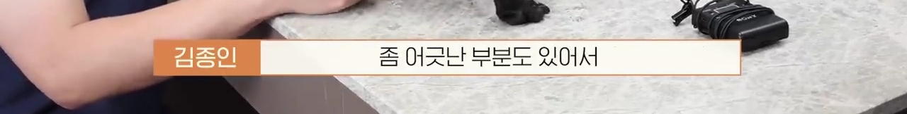 교통사고난 유기견 입양한 설채현 수의사 그리고 윙크 근황😉 | 인스티즈