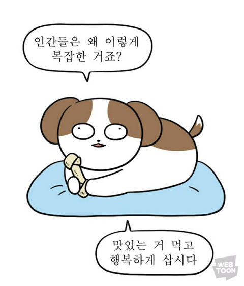 짤, 짤, 짤, 위로와 용기를 주는 짤 모음집~~ -3- - 악플달면 쩌리쩌려버려 - ＊여성시대＊ 차분한 20대들의 알흠다운 공간