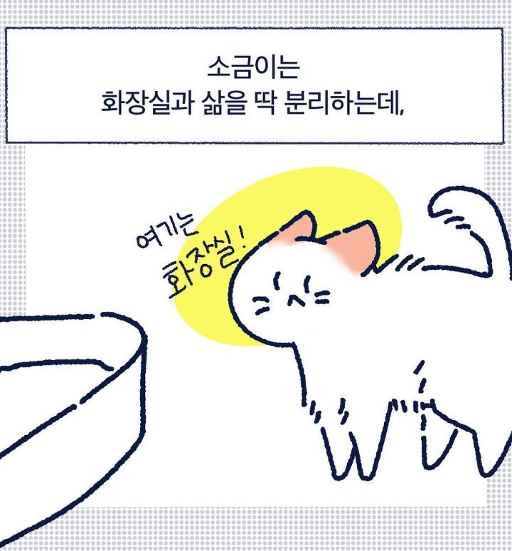 아깽이들은 왜...? | 인스티즈