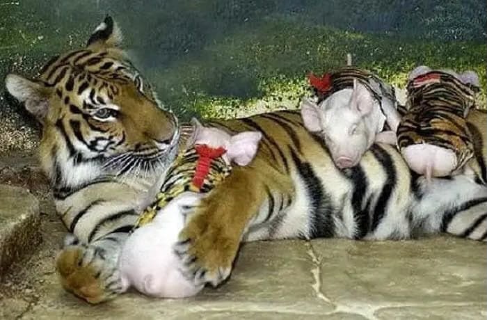 일반적인 상식을 뒤엎는 부모 자식 관계.jpg | 인스티즈