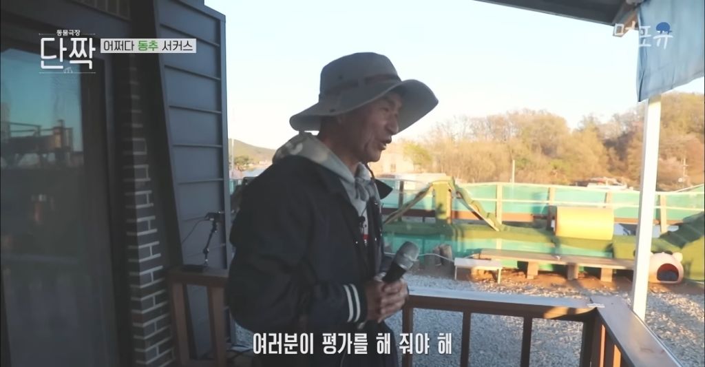 겁나 재밌게 사는 할아버지와 냥댕이들ㅋㅋㅋ.gif | 인스티즈