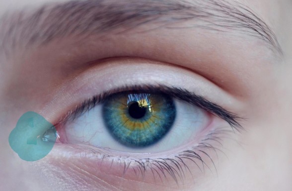 눈앞머리만 시도때도 없이 매일 가려운 달글 | 인스티즈