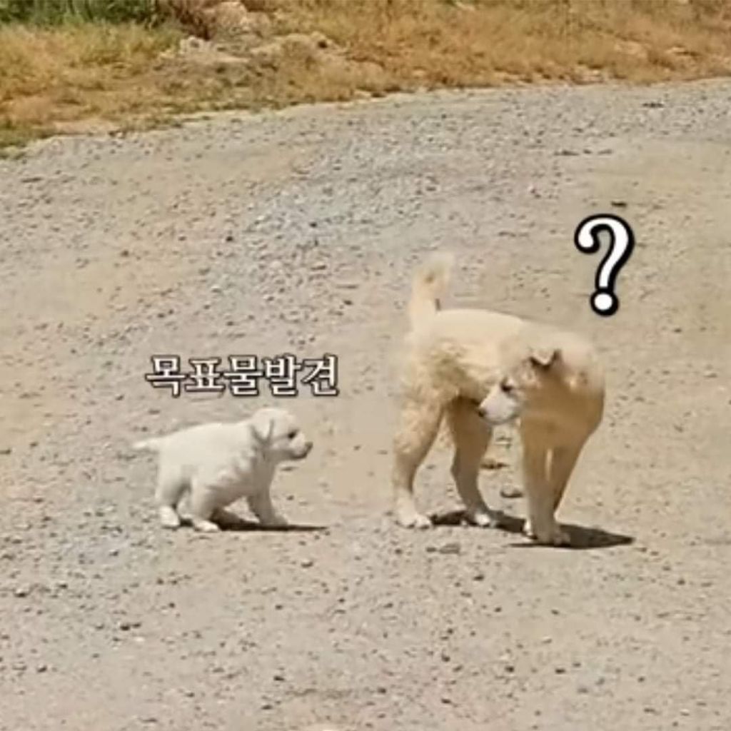 시고르자브종 유튜브 보다가 오열중.jpg | 인스티즈