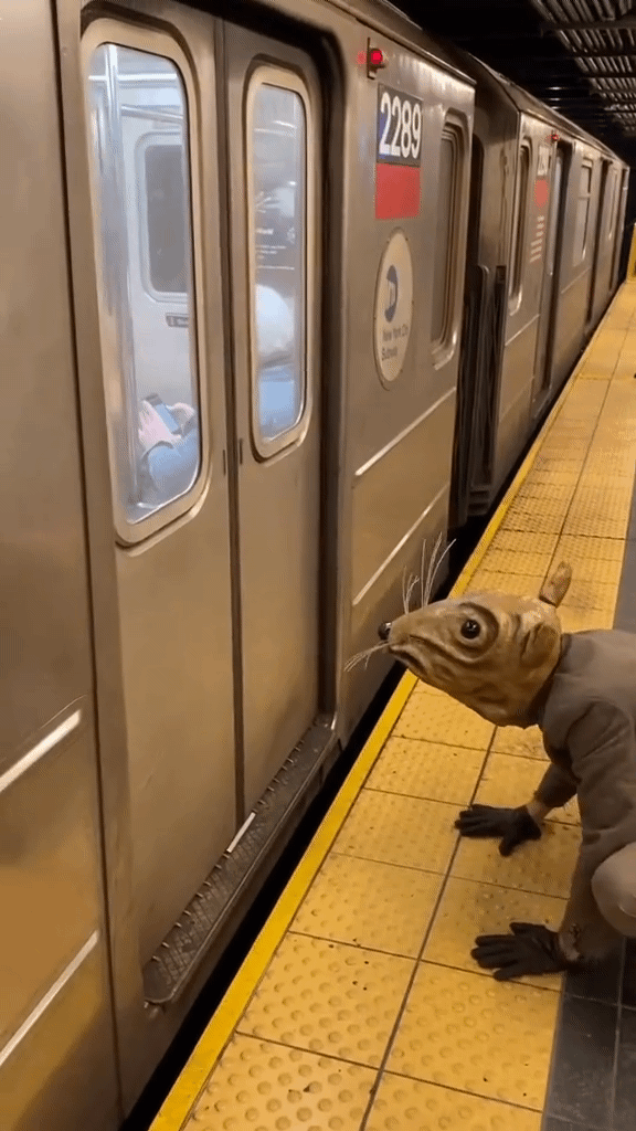 광란의 1호선도 한수 접고 갈 뉴욕 지하철 (놀람 주의) | 인스티즈