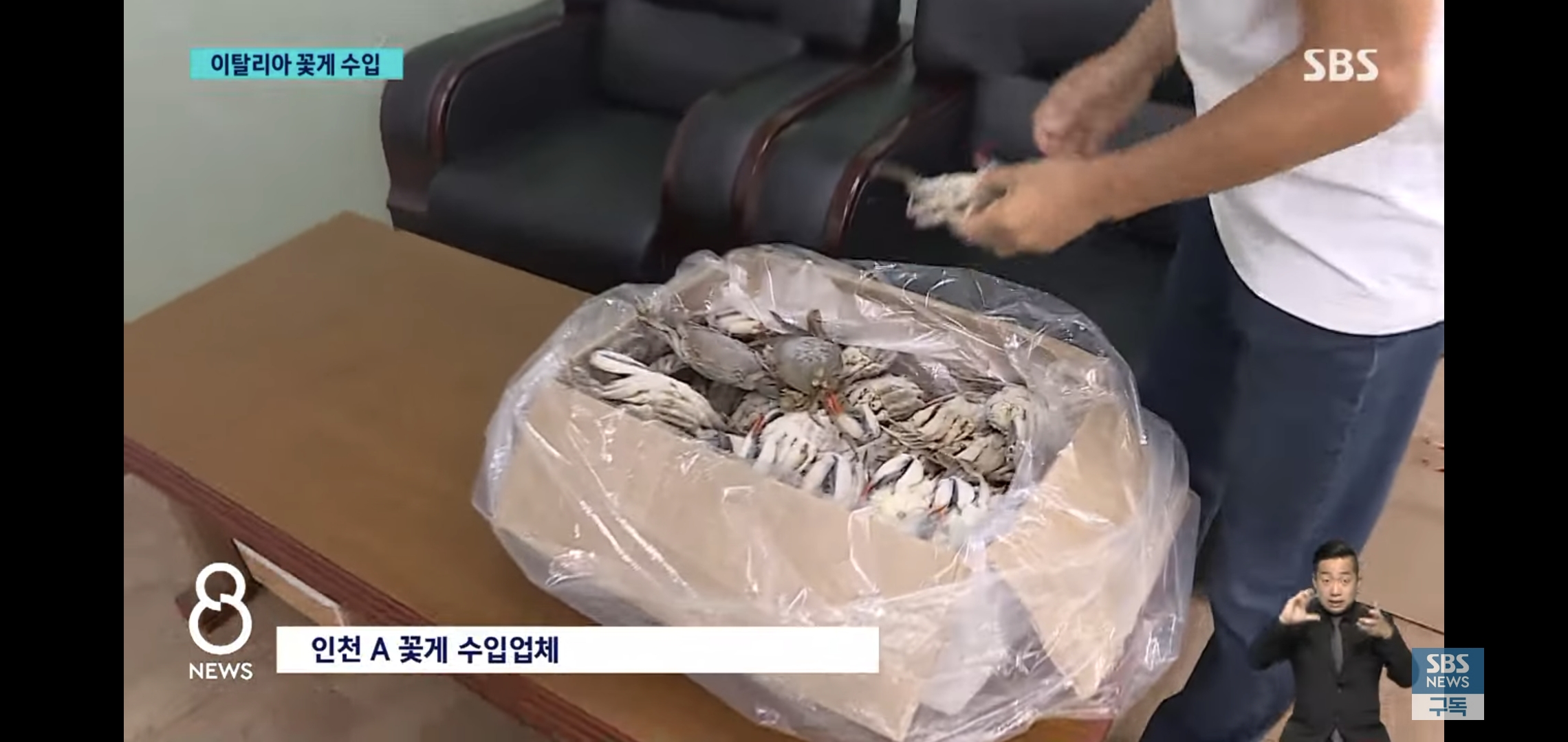 꽃게나라 이미지