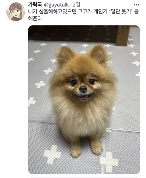 내가 침울해 하고 있으면 -가 -해준다 .twt | 인스티즈