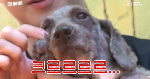 SS501 김형준 개사기 사건 + 현재 | 인스티즈