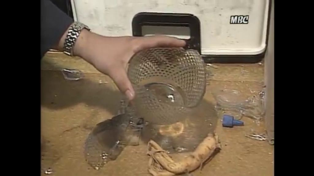 2017년 출소했을 것으로 추정되는 흉악범죄자 | 인스티즈