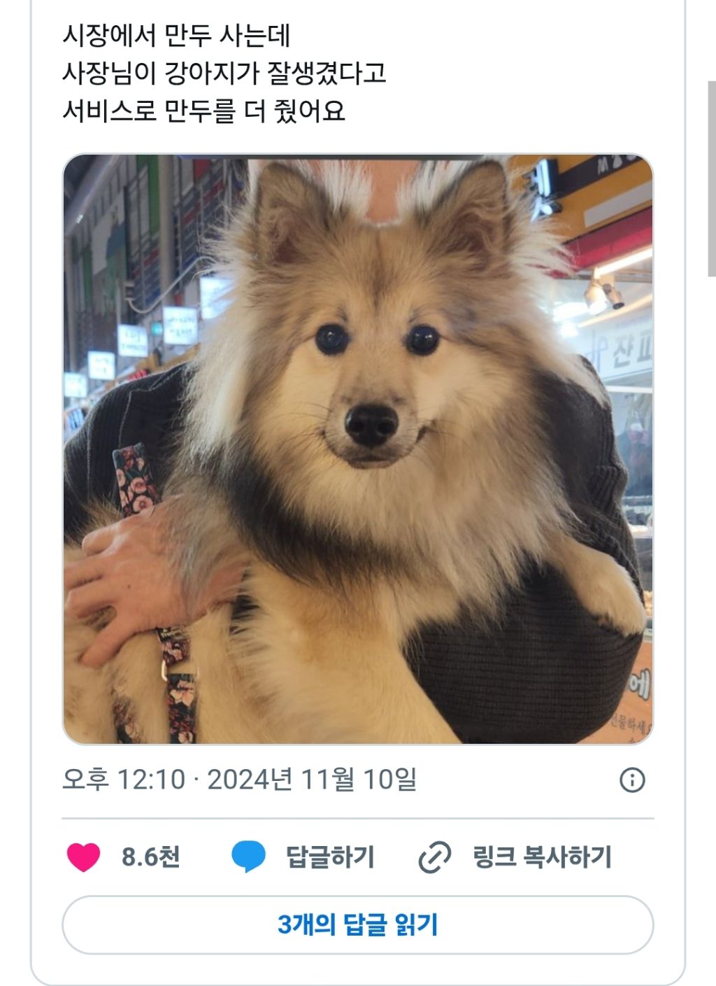 시장에서 만두 사는데 사장님이 잘생겼다고 만두를 더 줬어요 | 인스티즈