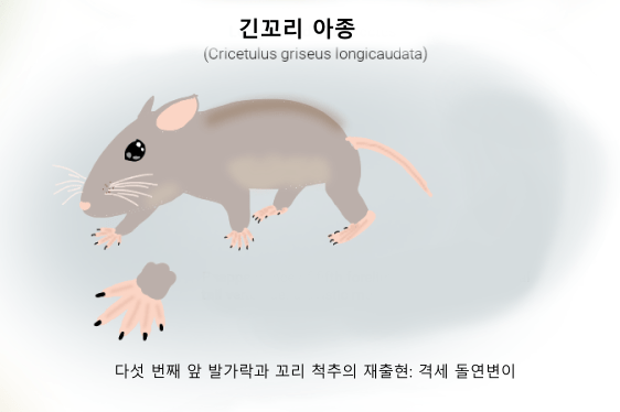 햄스터가 외계행성의 지배자가된 세계관 | 인스티즈