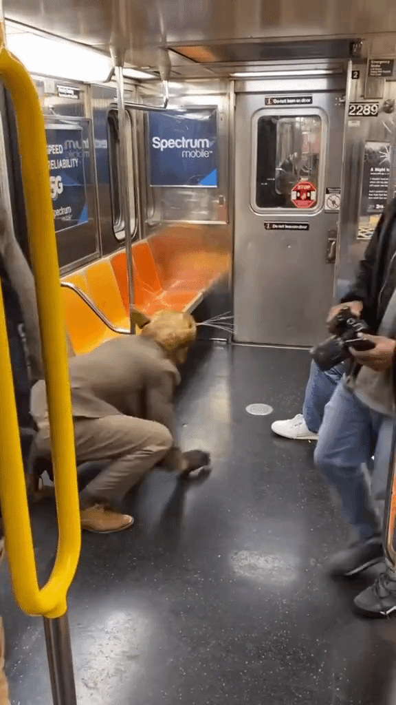 광란의 1호선도 한수 접고 갈 뉴욕 지하철 (놀람 주의) | 인스티즈