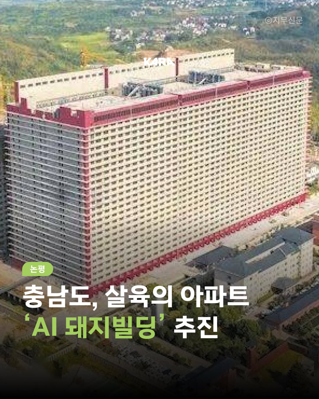 충남도, 살육의 아파트 'AI 돼지빌딩' 추진 | 인스티즈