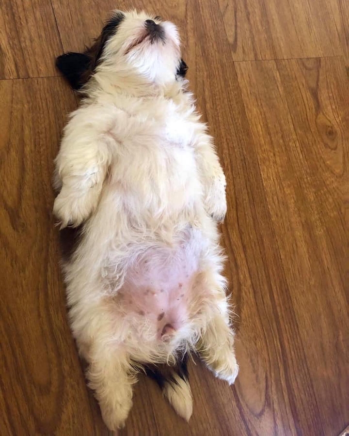 2ac204a274497c00b6715295b829e1e555f2eeb5