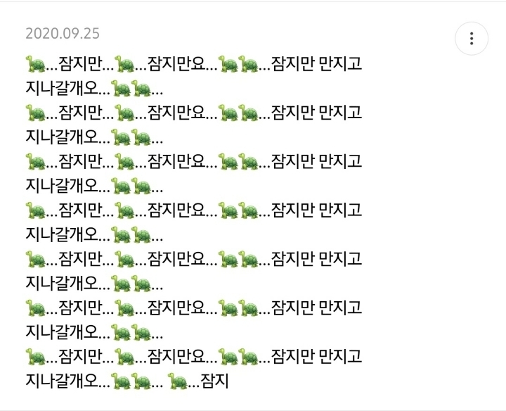 사방신 중에 현무 왜 인기 없을까 원인 적는 달글 | 인스티즈