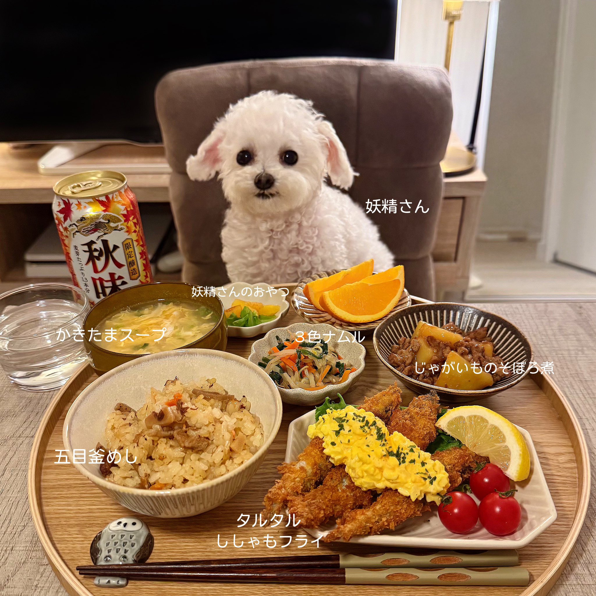 반려견과 함께 밥먹는 사진으로 화제된 트위터 계정.jpg | 인스티즈