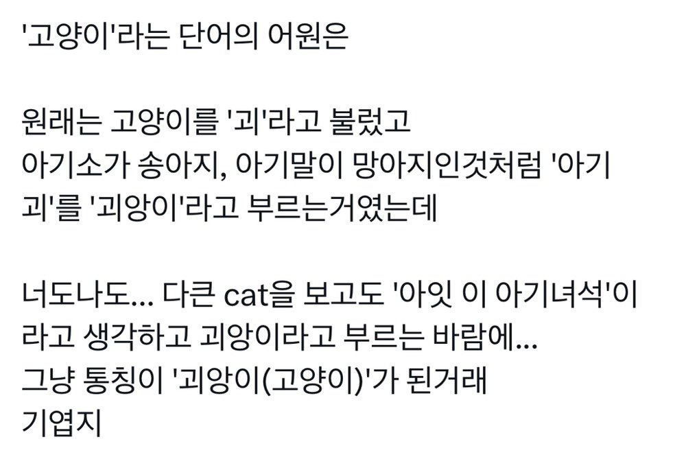 너무 웃기고 귀여운 '고양이'라는 단어의 어원ㅋㅋ | 인스티즈