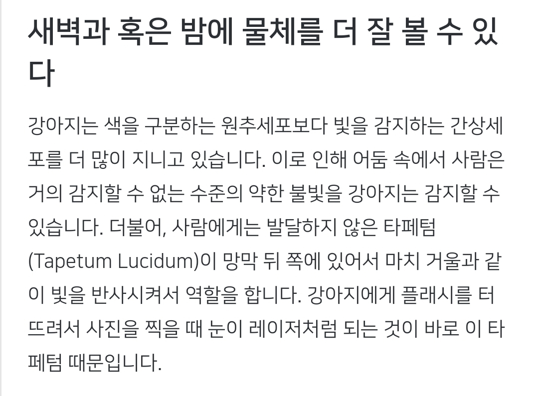 강아지는 진짜 색맹일까?🐶.jpg | 인스티즈