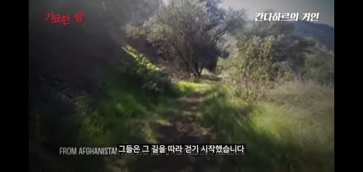 협박받고 해킹까지 당했던 실제 거인사살;; | 인스티즈