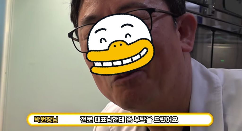 산불로 한쪽다리를 잃은 고양이가 받은 선물 🎁 | 인스티즈